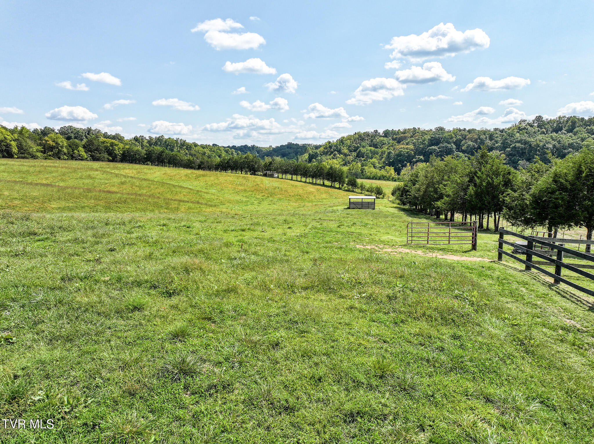 1375 Union Road Greeneville, TN 37745 - Photo 51 of 85 51