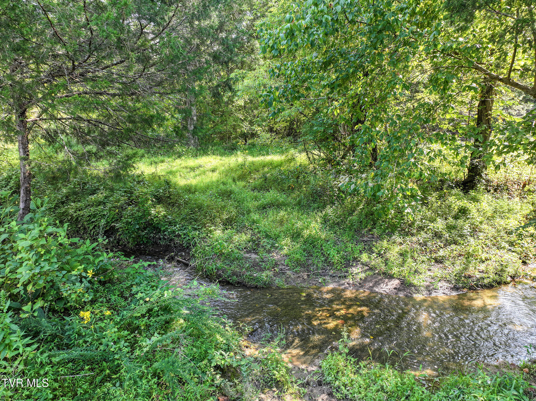 1375 Union Road Greeneville, TN 37745 - Photo 53 of 85 53
