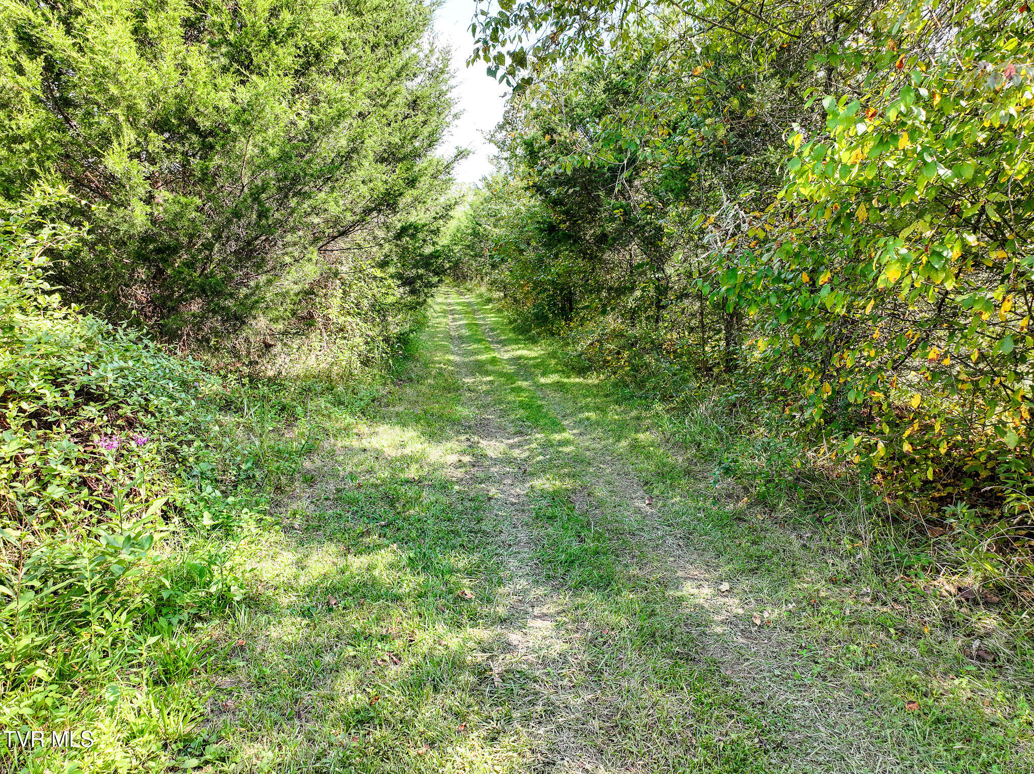 1375 Union Road Greeneville, TN 37745 - Photo 56 of 85 56