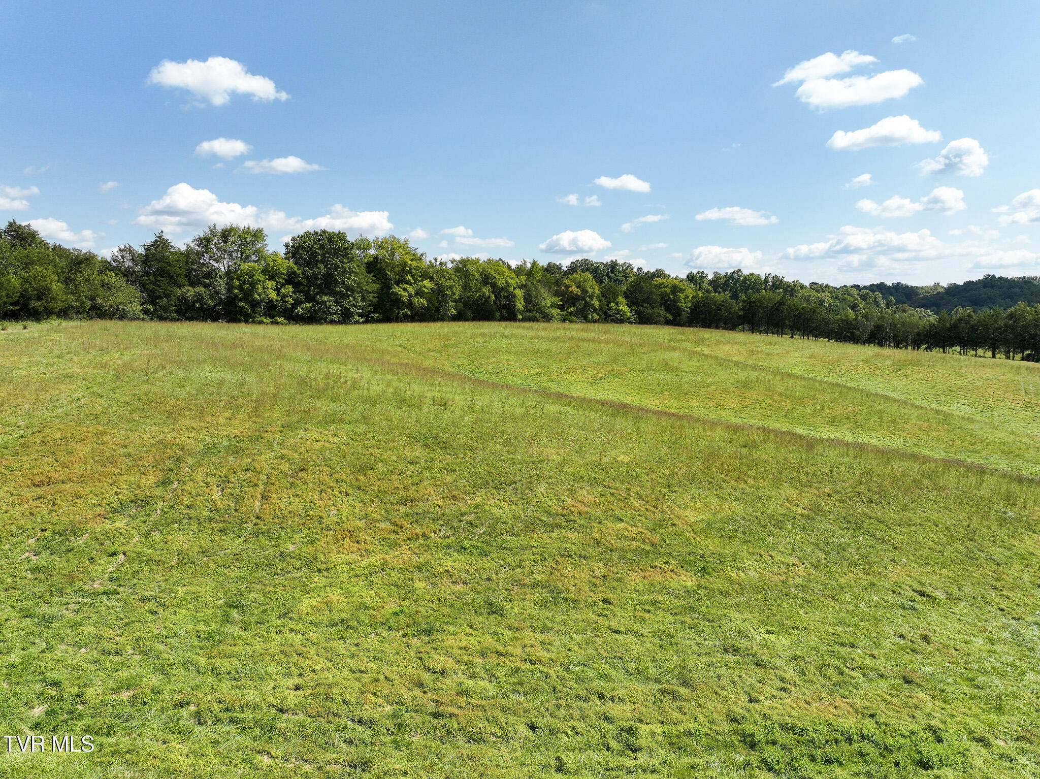 1375 Union Road Greeneville, TN 37745 - Photo 57 of 85 57