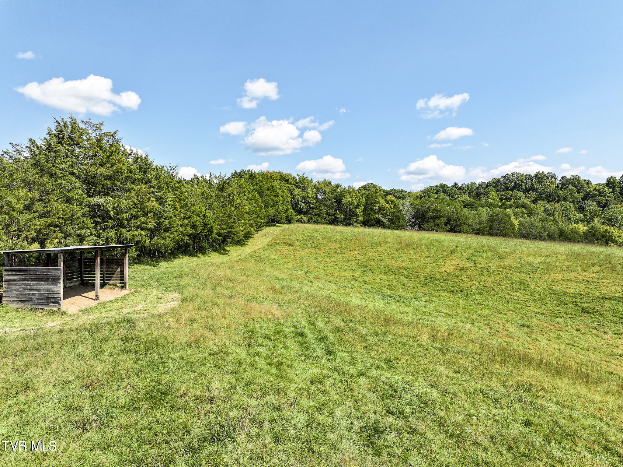 1375 Union Road Greeneville, TN 37745 - Photo 58 of 85 58