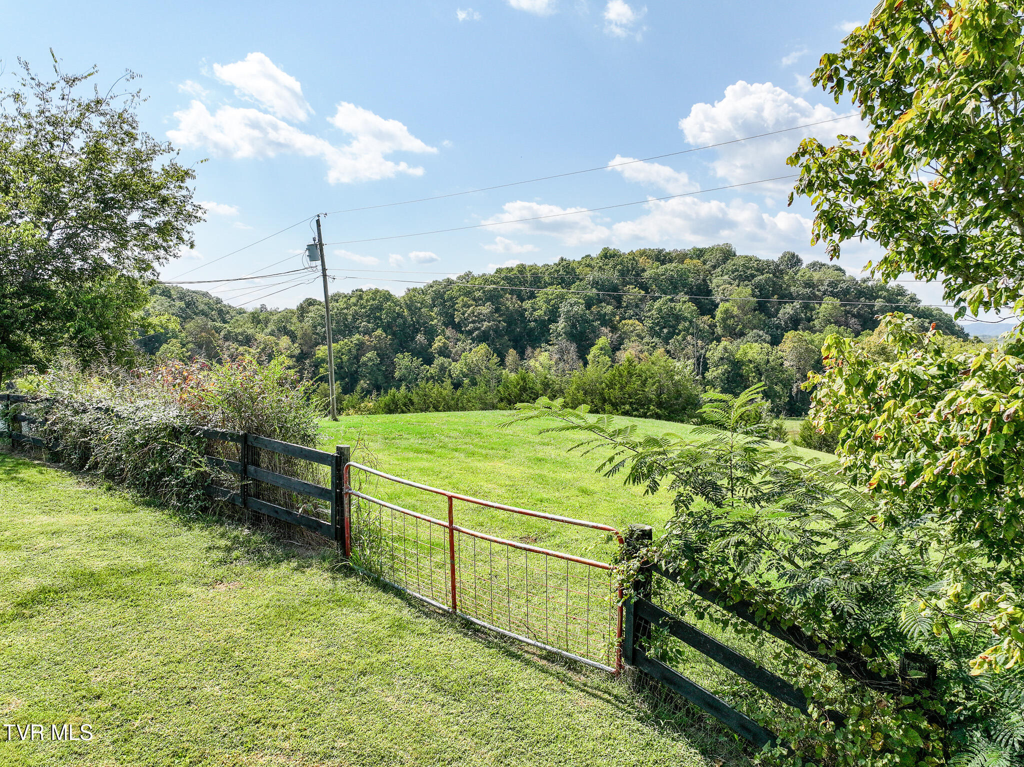 1375 Union Road Greeneville, TN 37745 - Photo 61 of 85 61