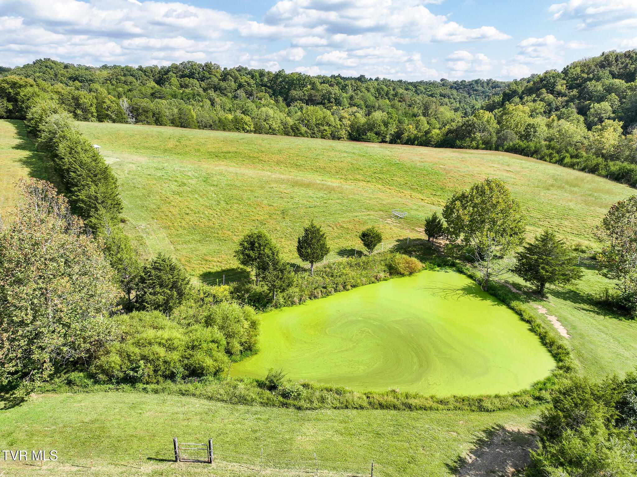 1375 Union Road Greeneville, TN 37745 - Photo 62 of 85 62