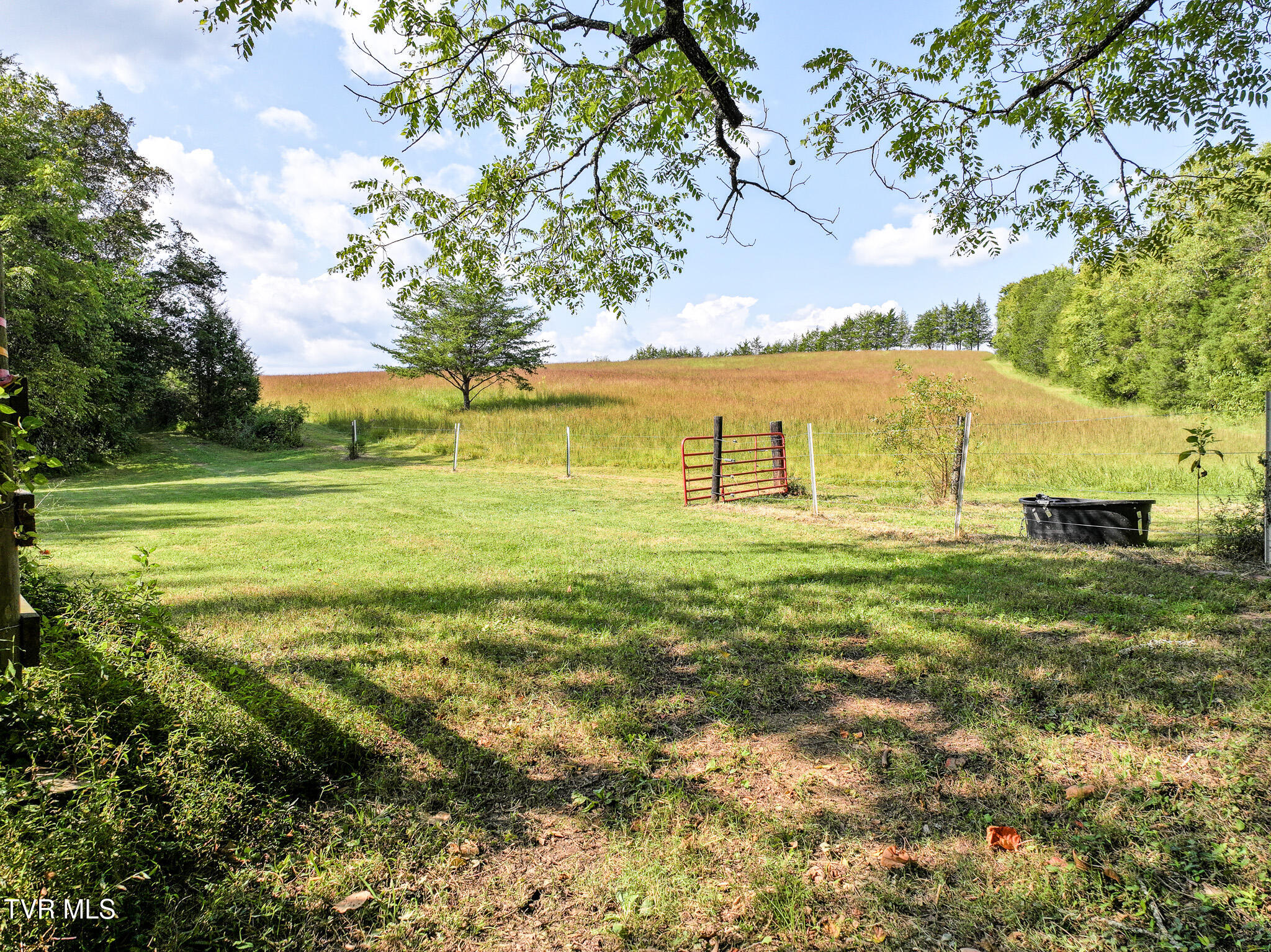 1375 Union Road Greeneville, TN 37745 - Photo 63 of 85 63