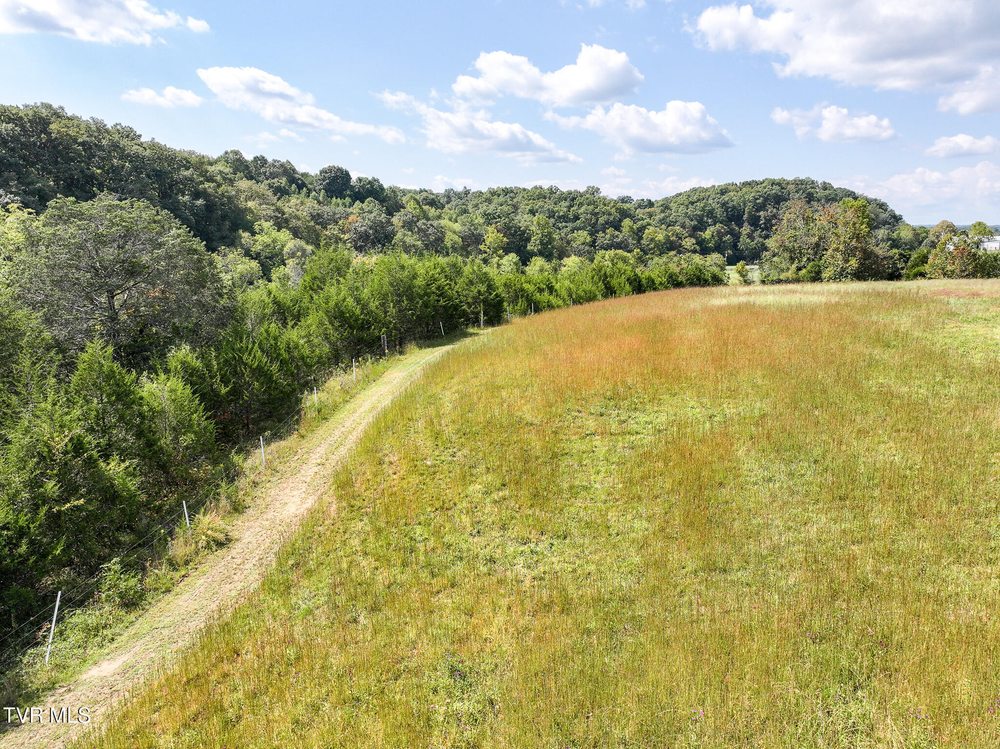 1375 Union Road Greeneville, TN 37745 - Photo 64 of 85 64