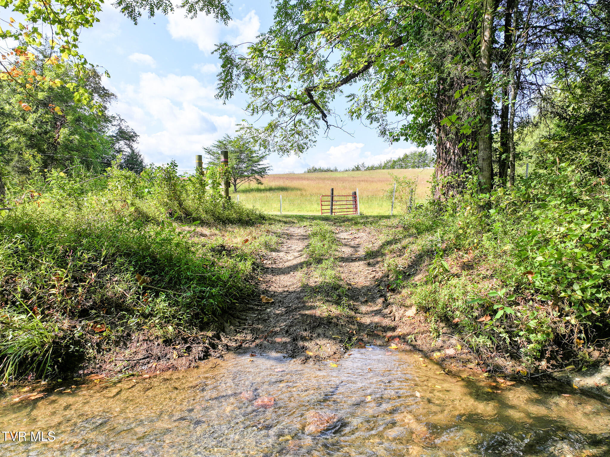 1375 Union Road Greeneville, TN 37745 - Photo 65 of 85 65