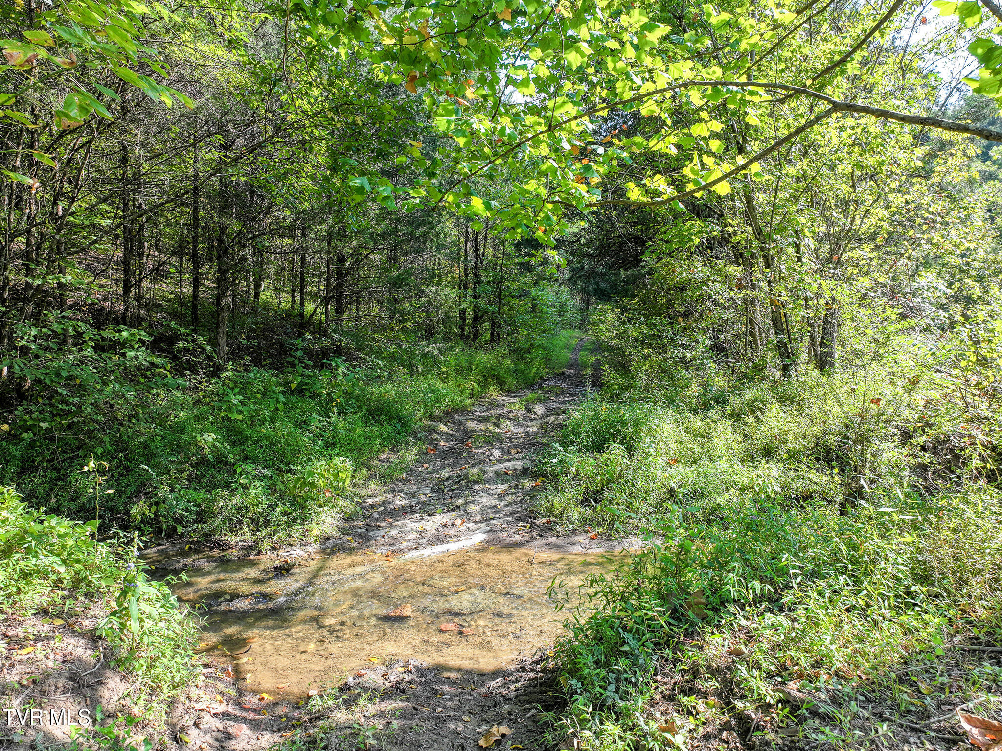 1375 Union Road Greeneville, TN 37745 - Photo 66 of 85 66