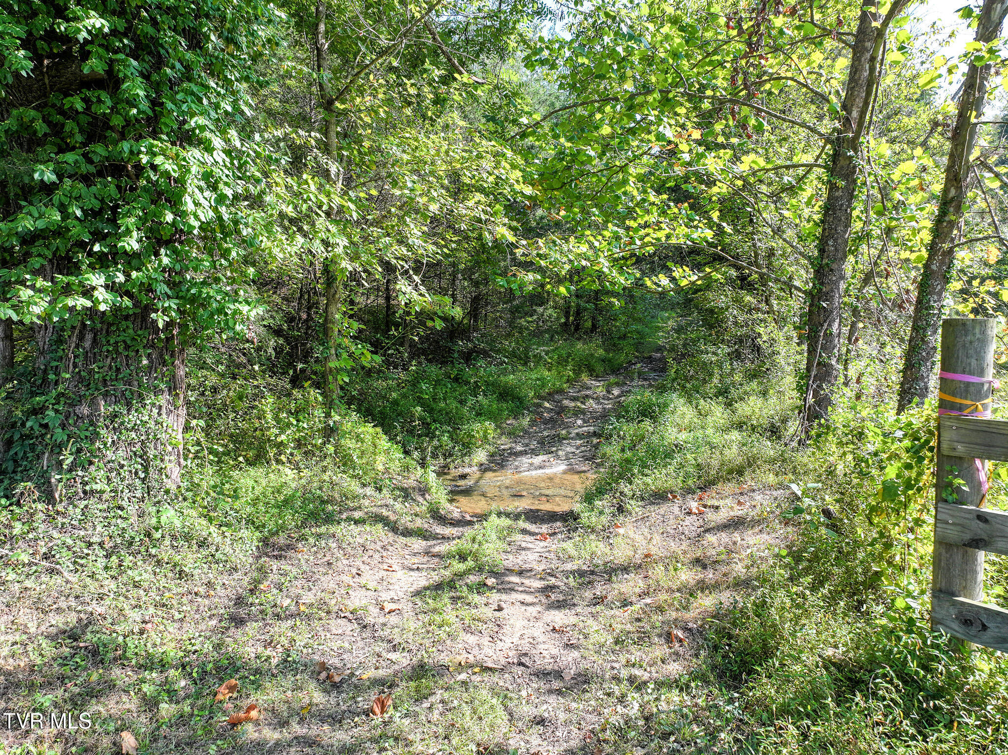 1375 Union Road Greeneville, TN 37745 - Photo 67 of 85 67