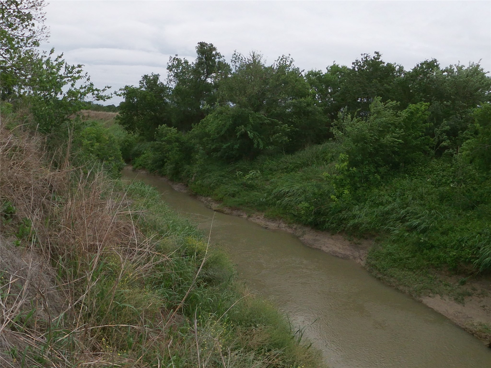 0 Fm 112 Road Thrall, TX 76578 - Photo 6 of 38