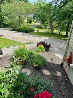 215 Vann Drive Harriman, TN 37748 - Photo 4 of 30 IMG_2502