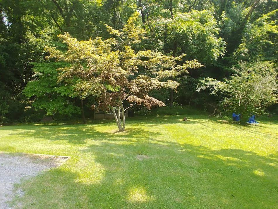 131 Orchard Road Norris, TN 37828 - Photo 3 of 19 Back