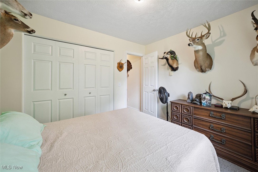 938 Long Shadow Lane Rome, OH 44085 - Photo 31 of 48 Carpeted bedroom featuring a closet and a textured ceiling