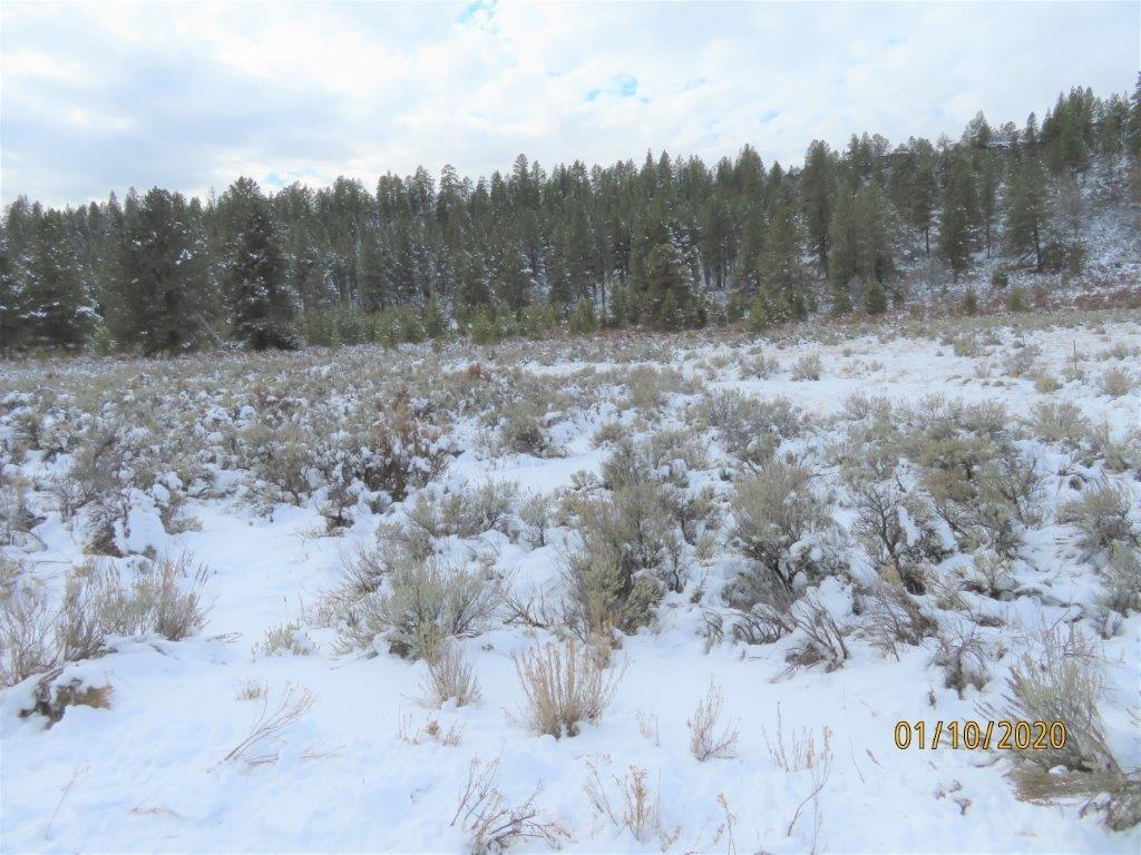 0 Rollingwood Road Chiloquin, OR 97624 - Photo 3 of 8 Additional Photo