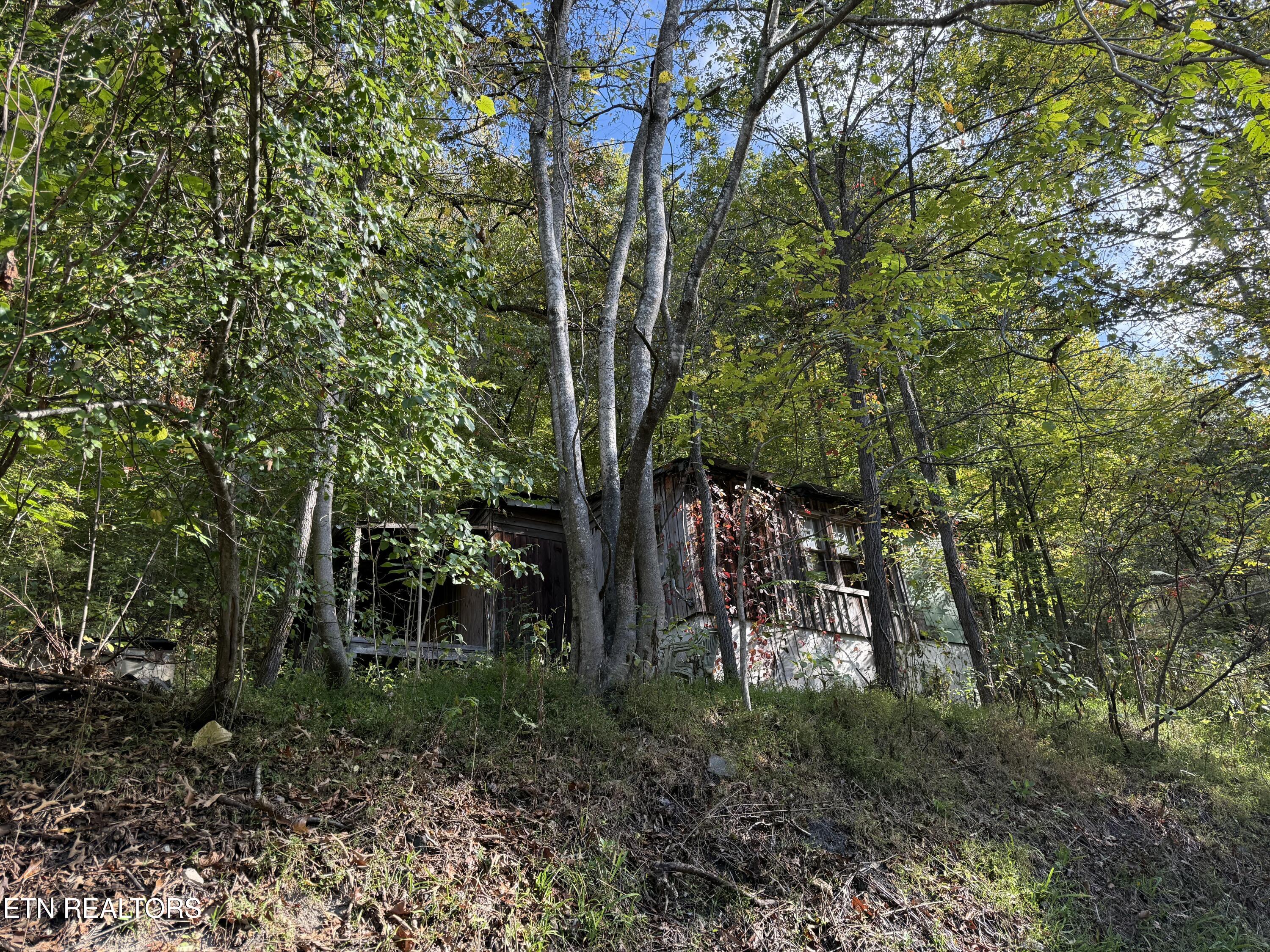 1971 Demory Road La Follette, TN 37766 - Photo 3 of 11 IMG_20251014_100714