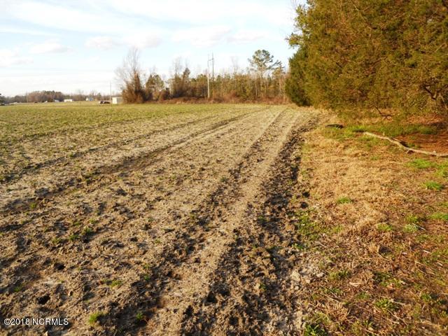 1.19-ac Patterson Road Kinston, NC 28504 - Photo 2 of 8 Back Side of Lot
