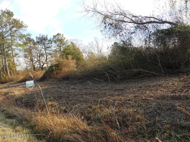 1.19-ac Patterson Road Kinston, NC 28504 - Photo 3 of 8 Front of Lot