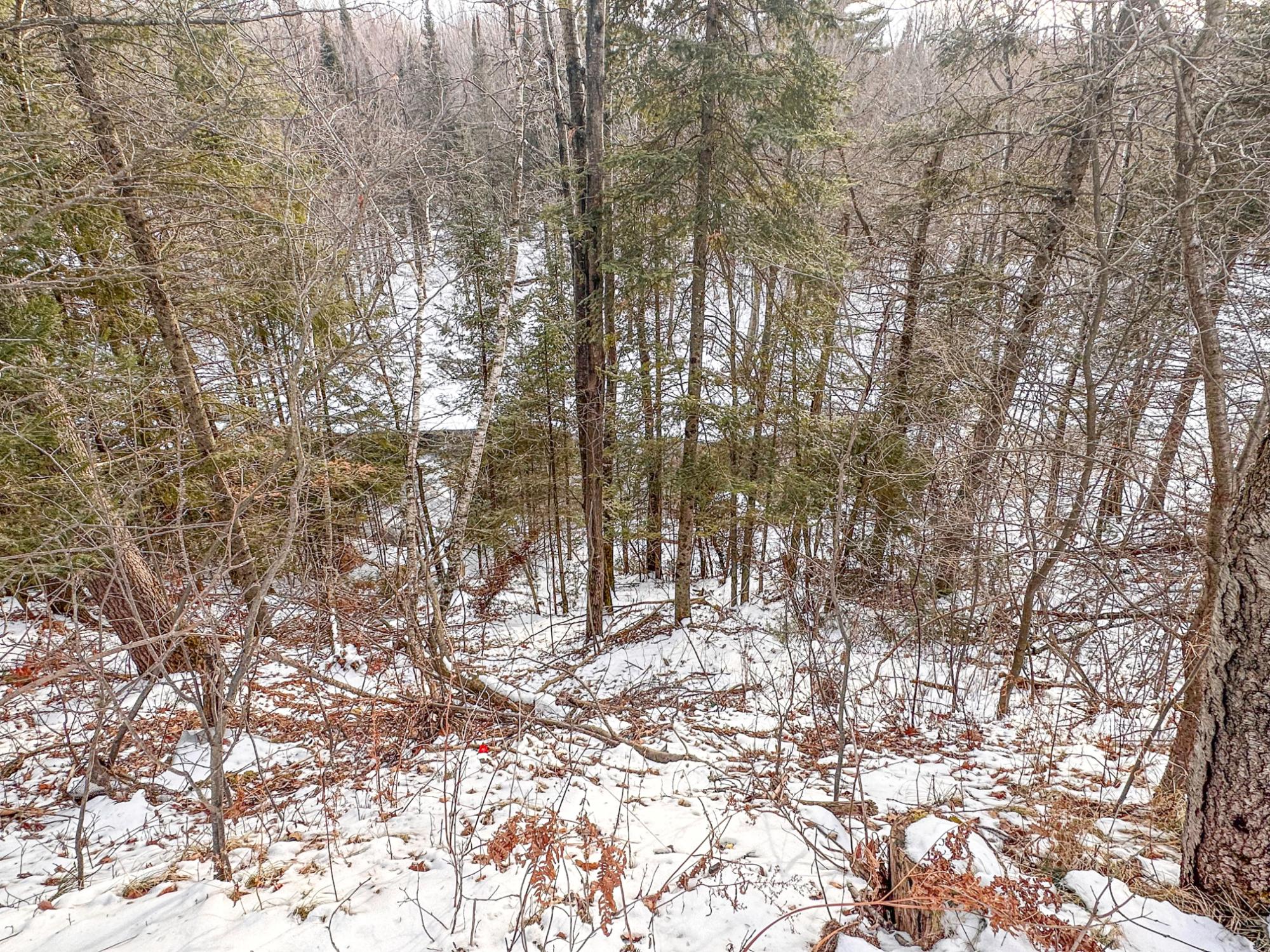 W6699 Cth H Phillips, WI 54555 - Photo 63 of 78 Gallery Image 63