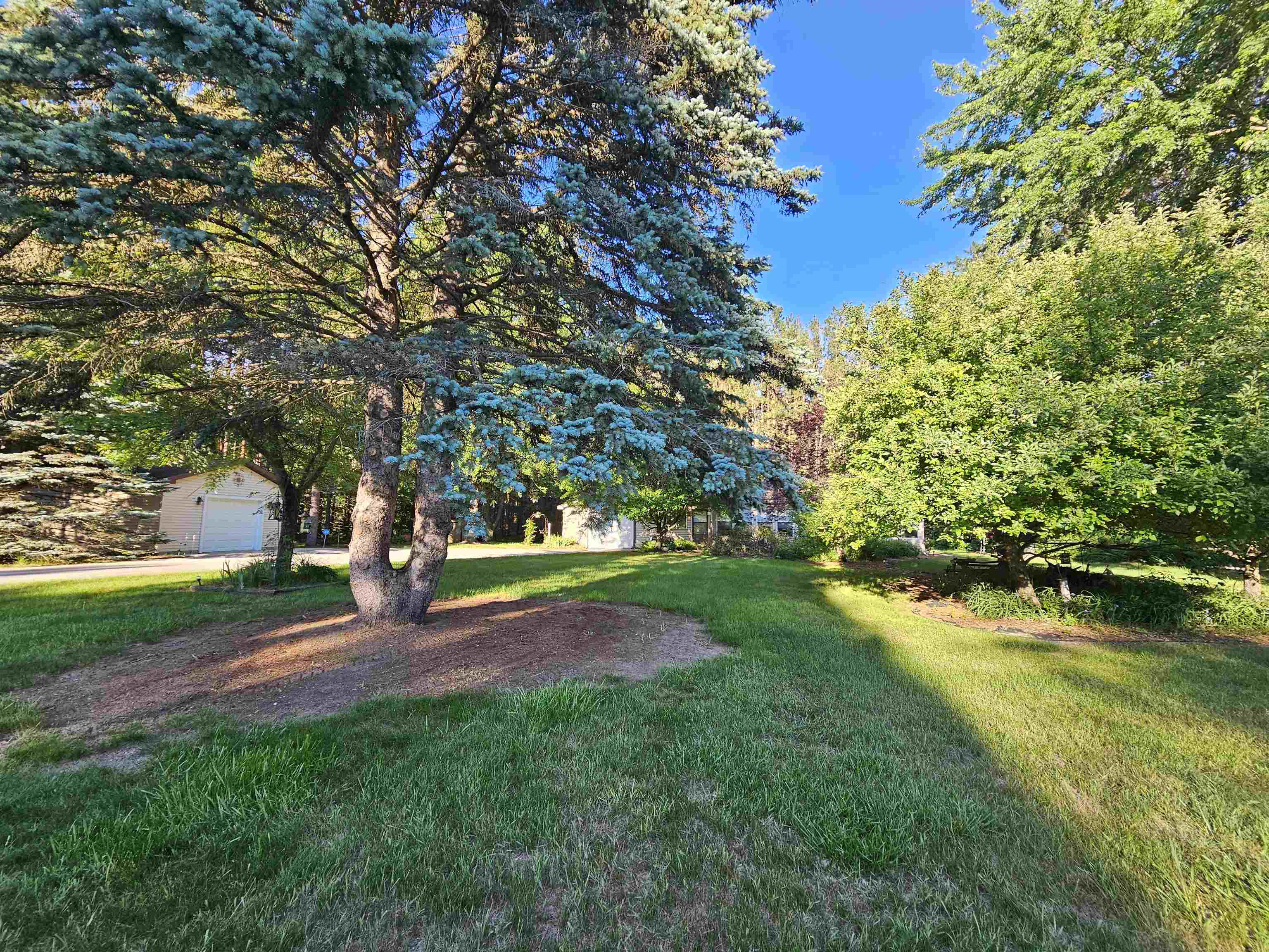 3351 South Dickerson Road Lake City, MI 49651 - Photo 48 of 52