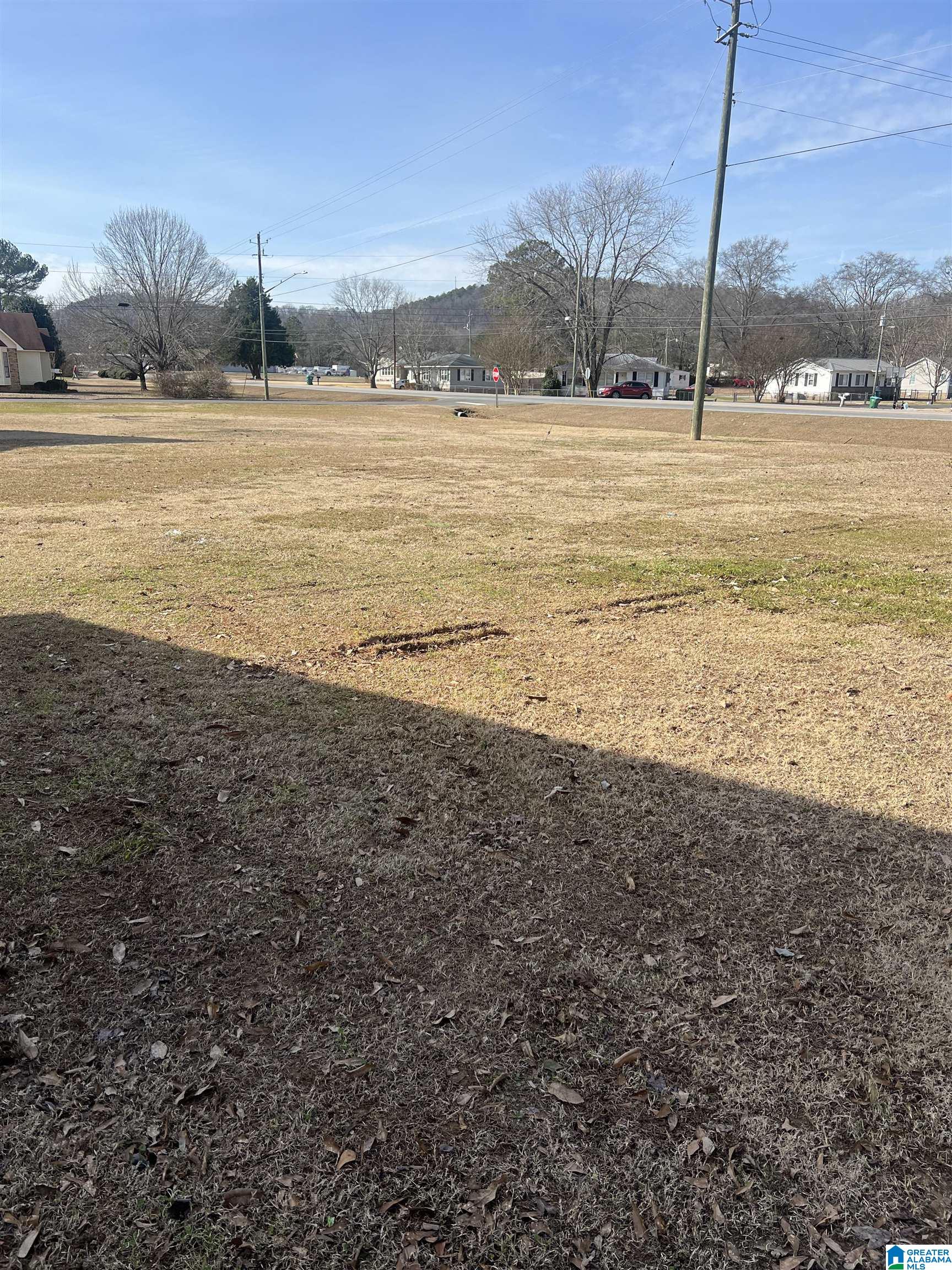524 Valley Road Oneonta, AL 35121 - Photo 2 of 17