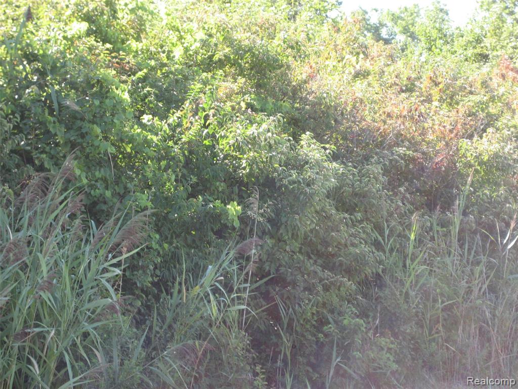 0 Arsenal Flat Rock, MI 48134 - Photo 4 of 5