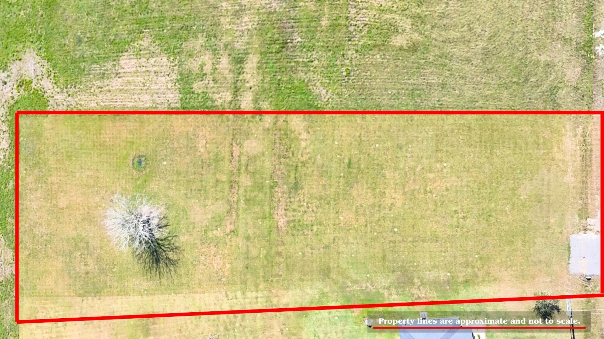 813 Longhorn Trail Angleton, TX 77515 - Photo 5 of 11