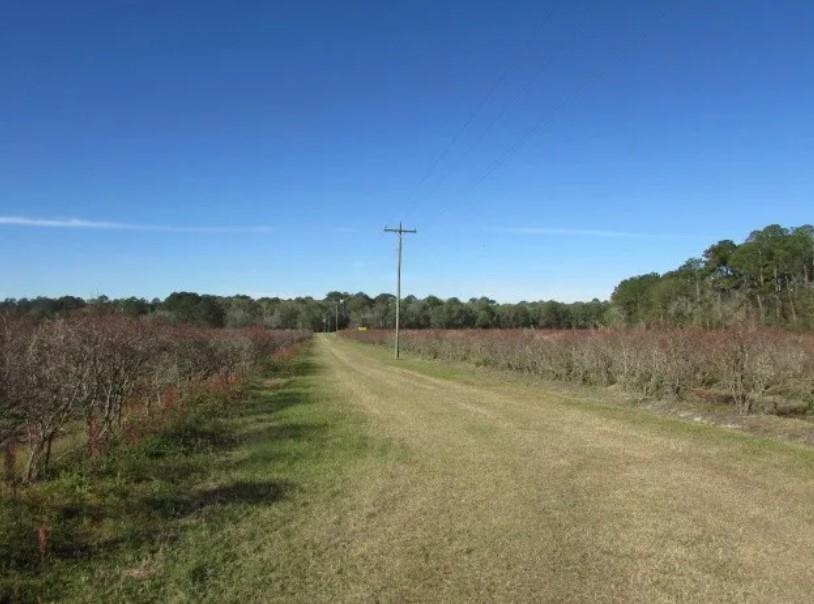 1019 D H Alderman Road Moultrie, GA 31788 - Photo 11 of 31