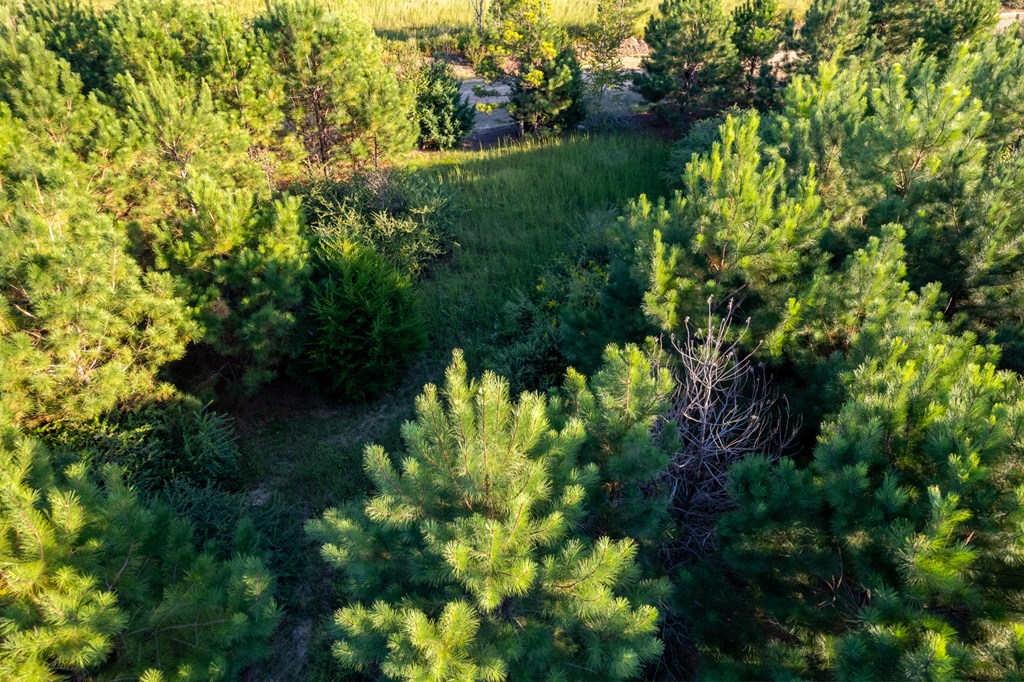2226 Randall Wade Road Headland, AL 36345 - Photo 32 of 60