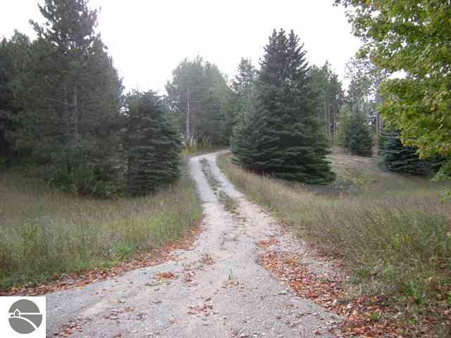 7076 Shippy Road Fife Lake, MI 49633 - Photo 2 of 8 1697904-1.JPG