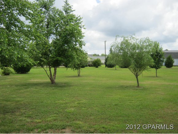 1681 Eds Grocery Road Williamston, NC 27892 - Photo 22 of 24 Additional Photo