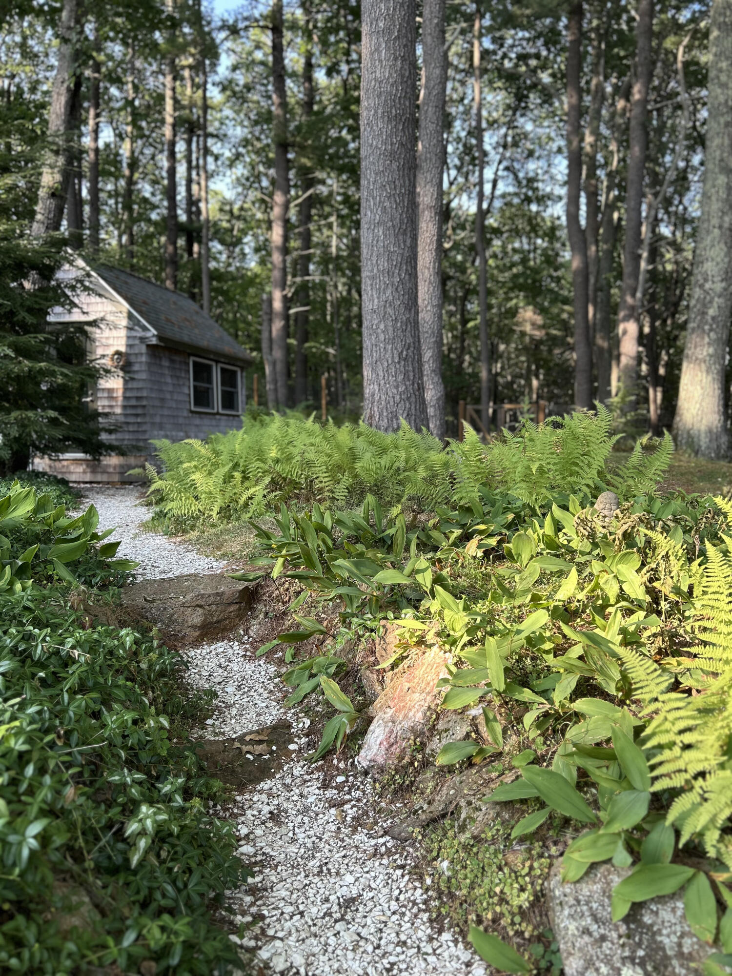 21 Johnson Road Falmouth, ME 04105 - Photo 57 of 72 Garden Path to Office