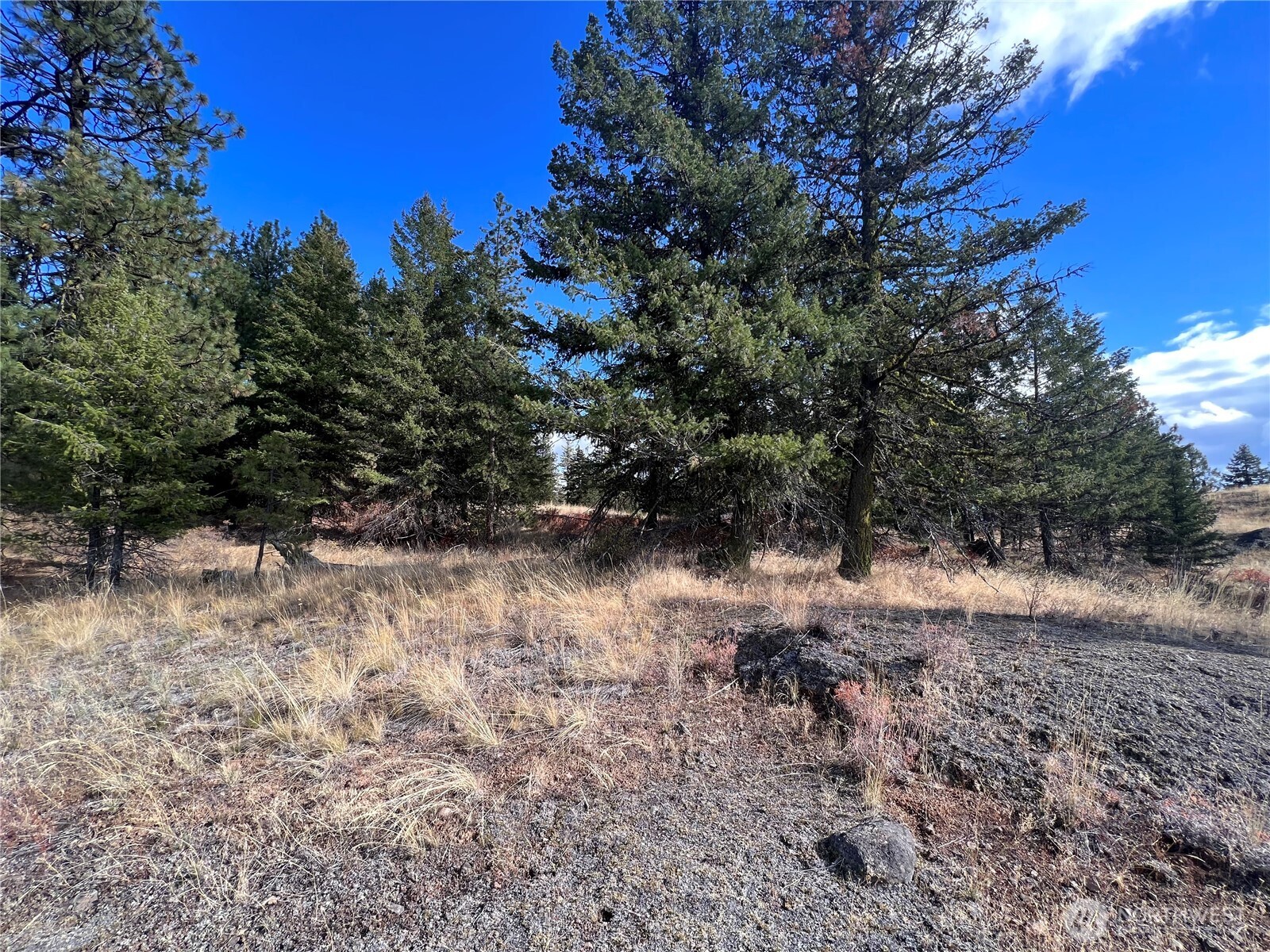 165 Stacy Road Republic, WA 99166 - Photo 21 of 29 Gallery Image 21