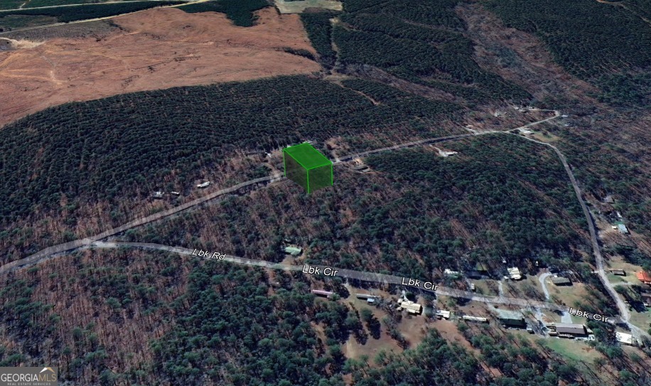 Lot 31 C Lbk Road Tignall, GA 30668 - Photo 11 of 12 a view of a yard