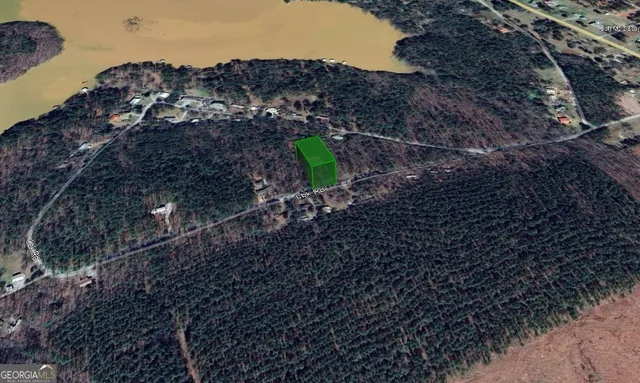 a bird view of house