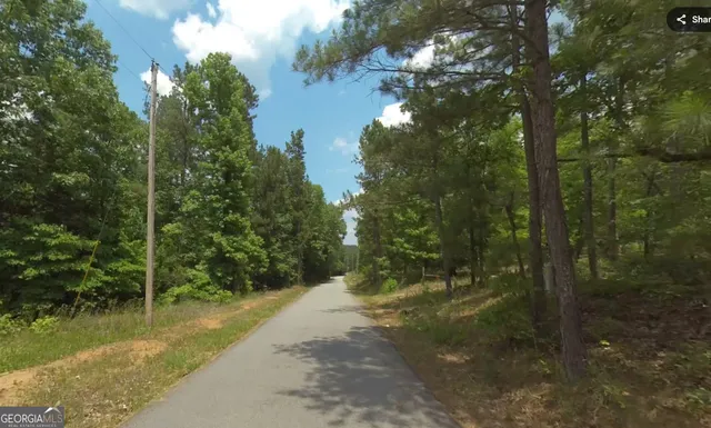 a view of a forest filled with trees
