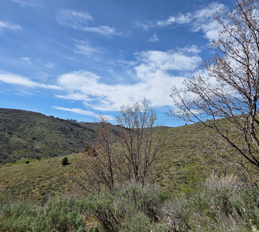 3325 North Oak Cyn Road, Unit 490 Huntsville, UT 84317 - Photo 15 of 25 Expansive hillside land featuring natural vegetation and distant mountain ranges under a clear sky
