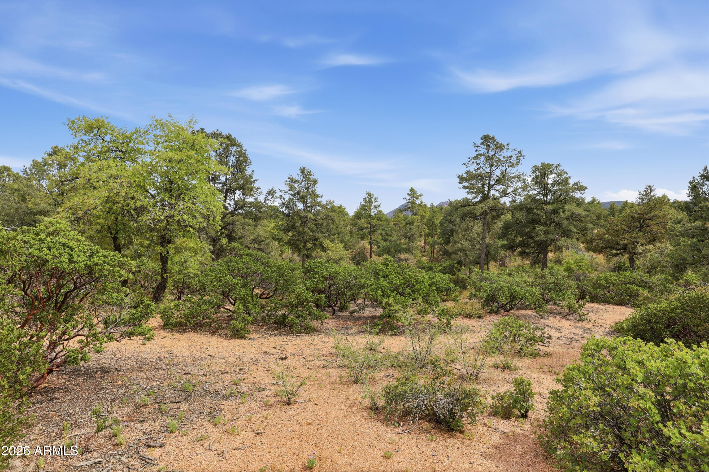 210 South Rim Club Drive, Unit 36 Payson, AZ 85541 - Photo 16 of 23 63