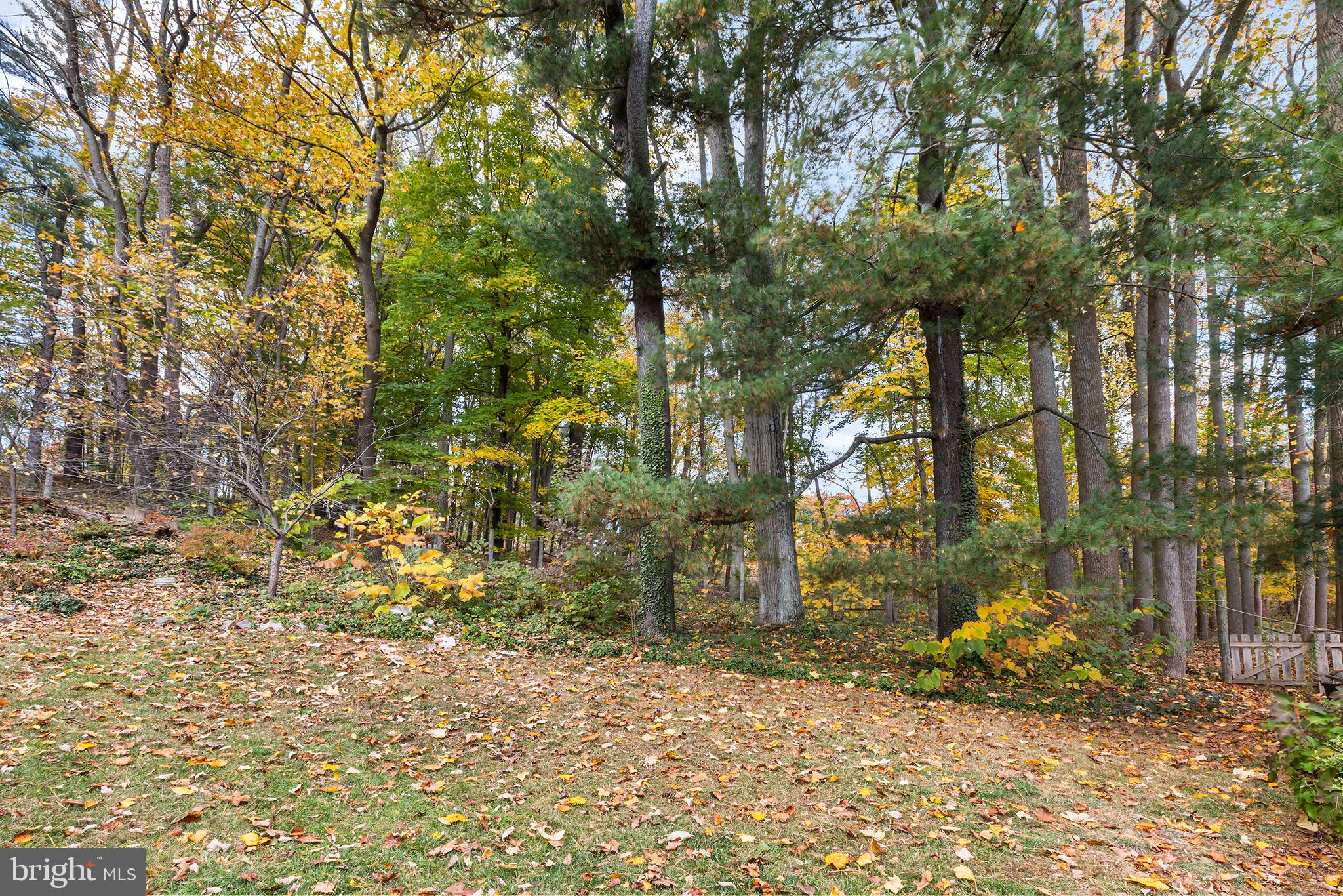 840 South Waterloo Road Devon, PA 19333 - Photo 26 of 29