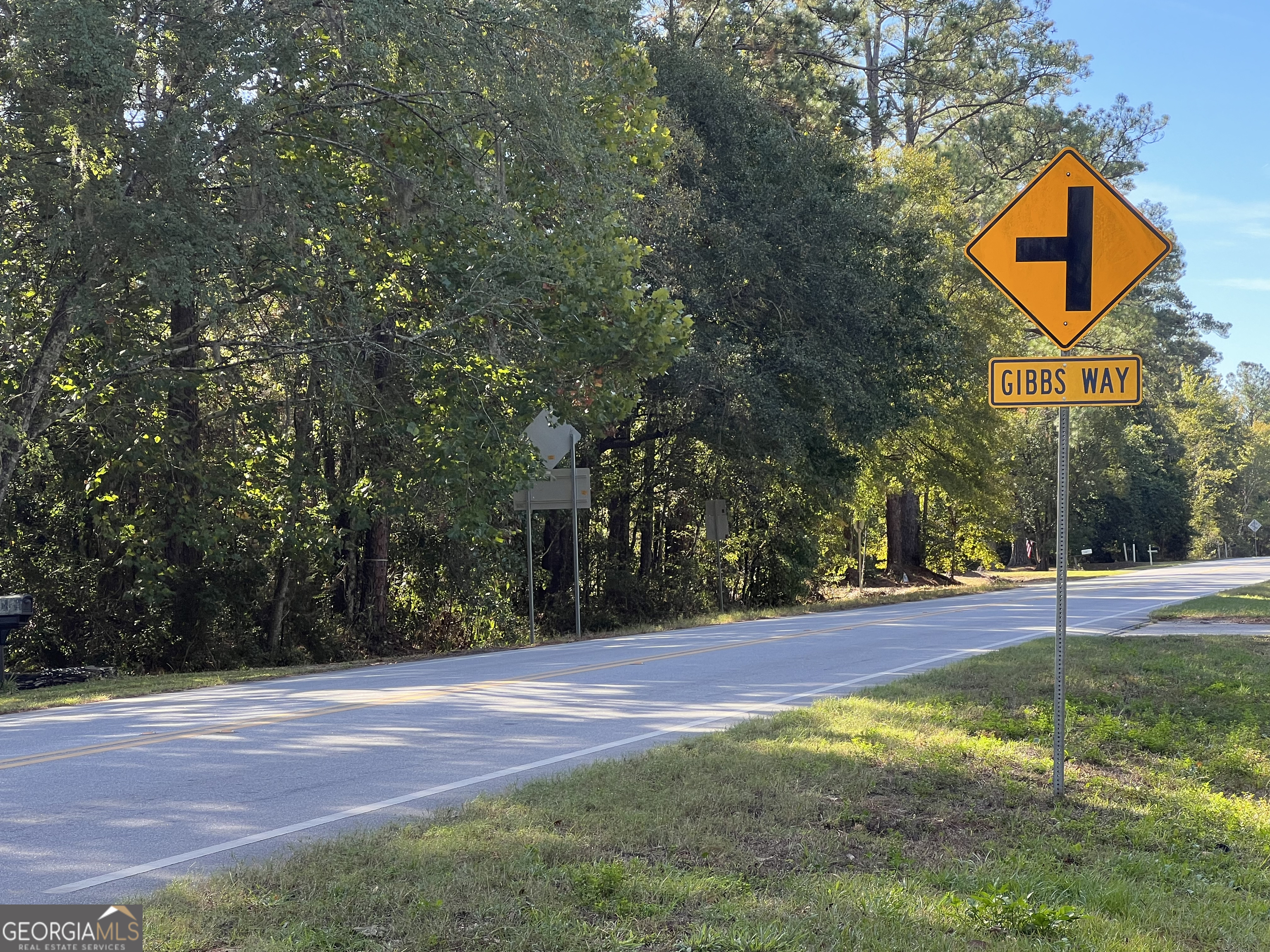 0 Us Highway 17 Waverly, GA 31565 - Photo 2 of 9