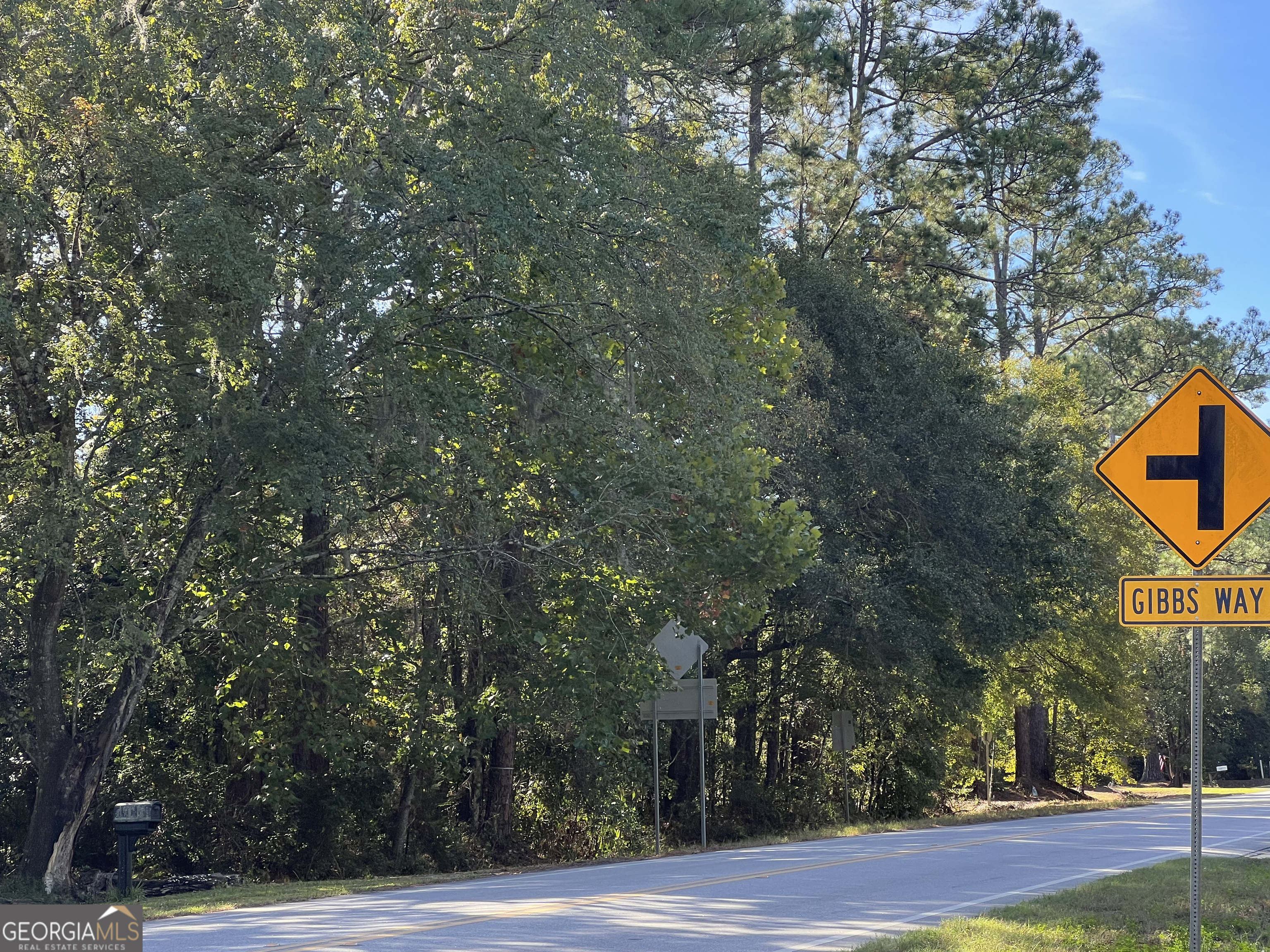 0 Us Highway 17 Waverly, GA 31565 - Photo 3 of 9