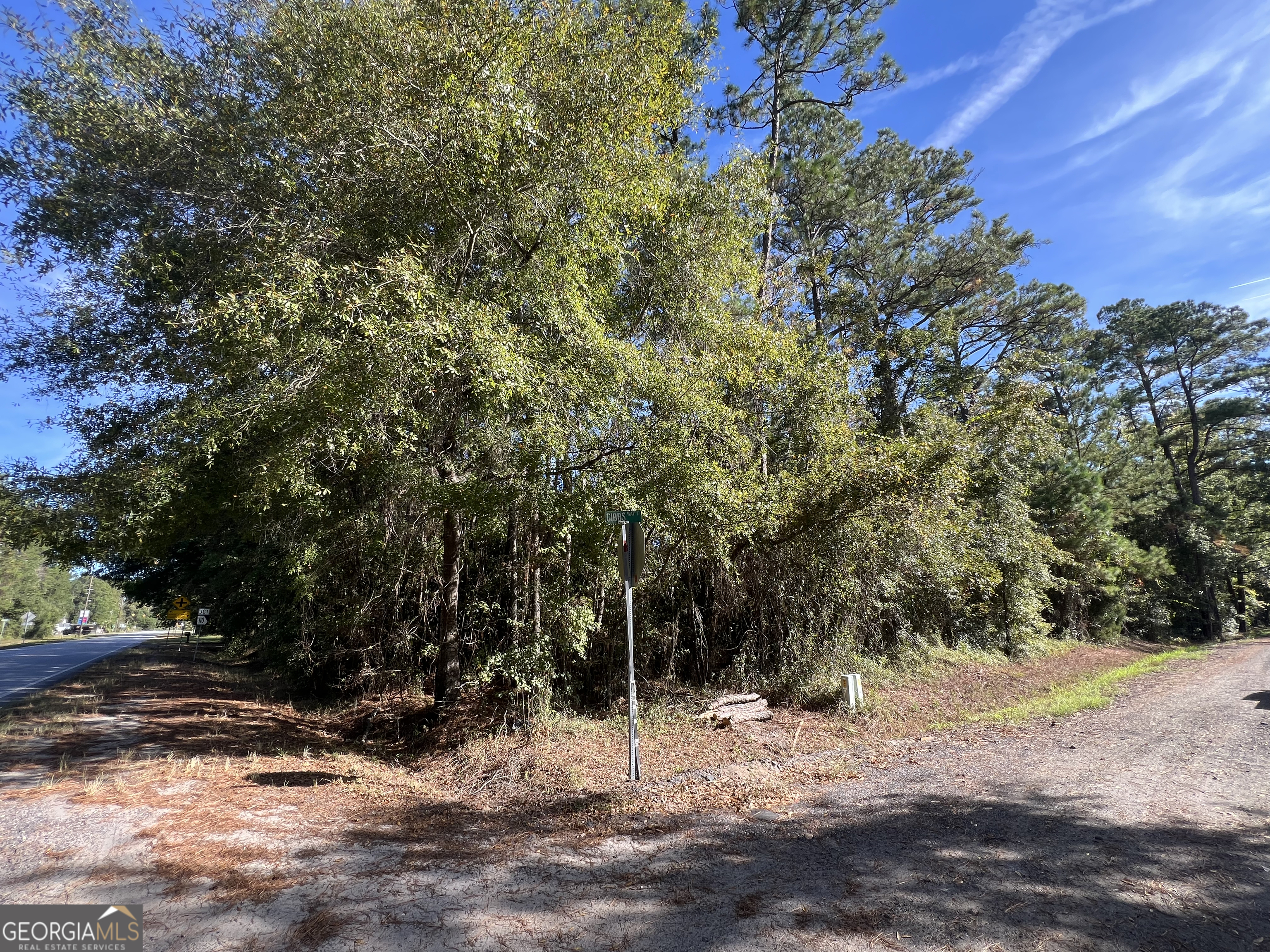 0 Us Highway 17 Waverly, GA 31565 - Photo 5 of 9