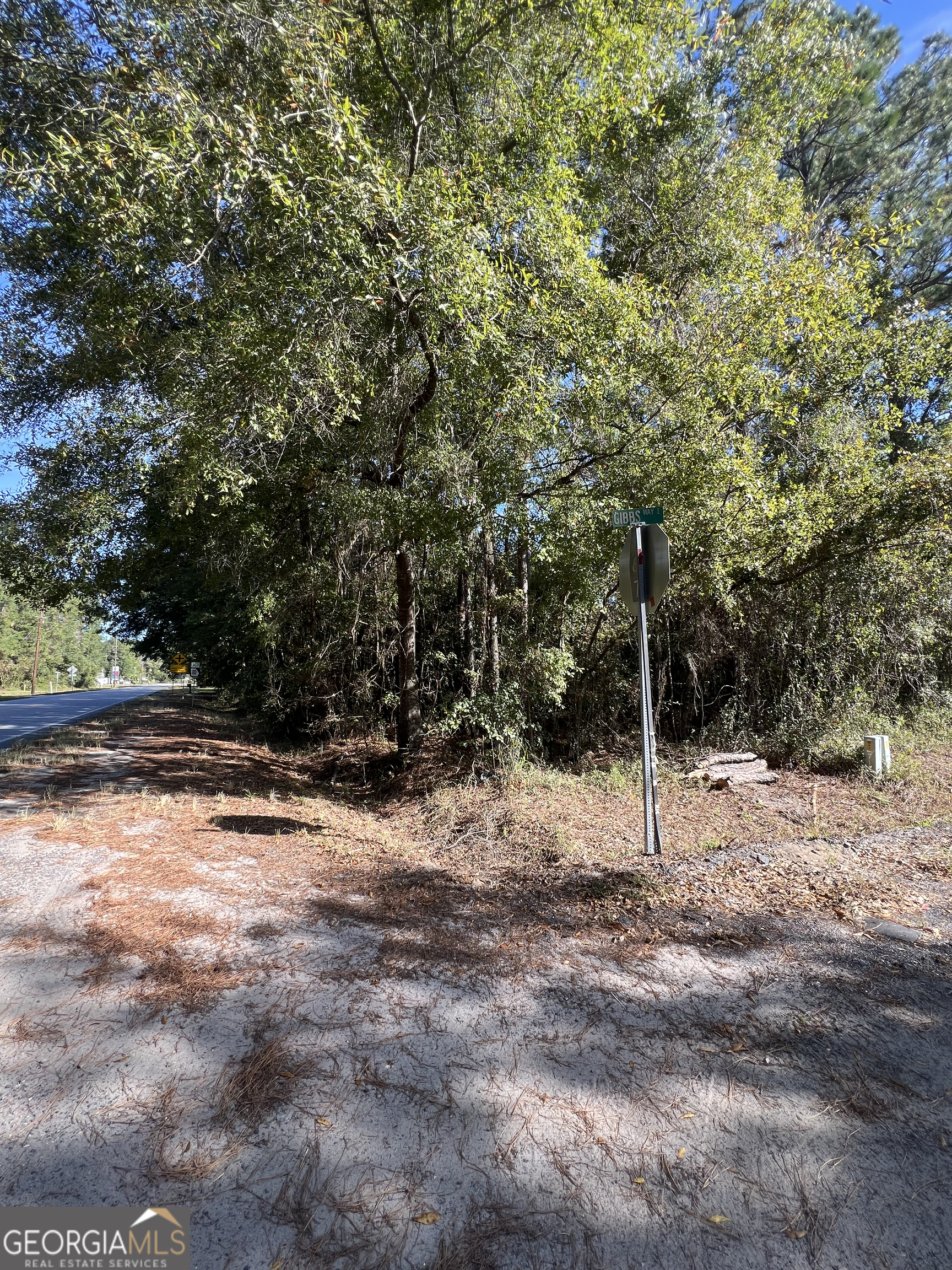 0 Us Highway 17 Waverly, GA 31565 - Photo 7 of 9