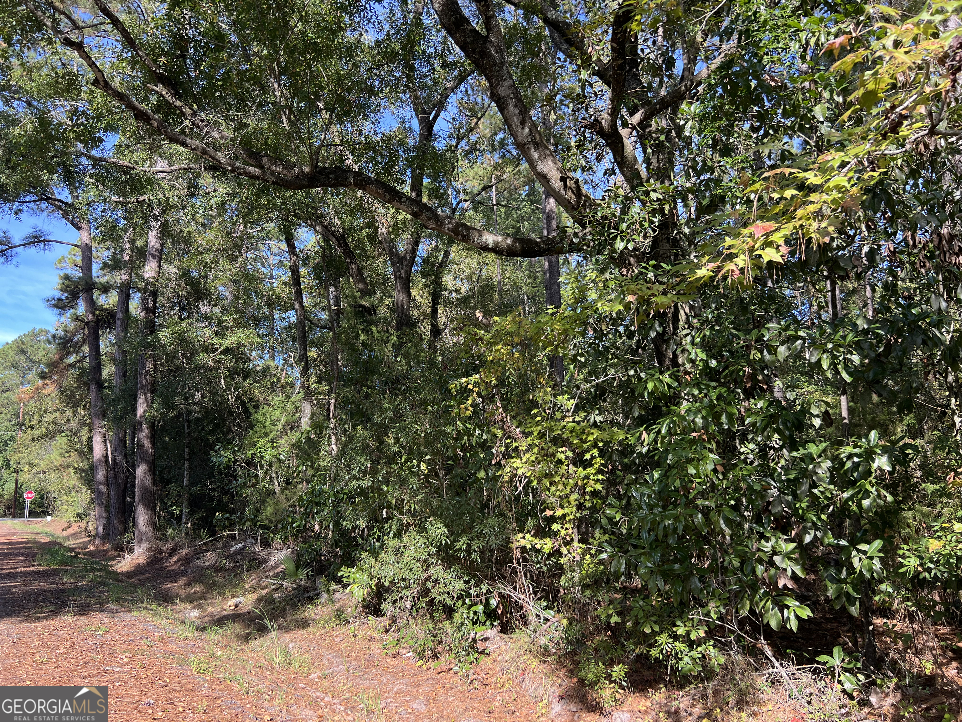 0 Us Highway 17 Waverly, GA 31565 - Photo 8 of 9