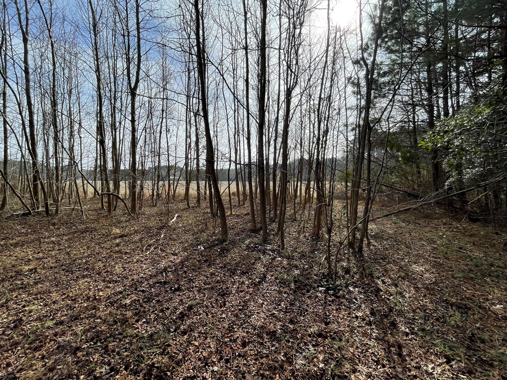 3.65 Old Neck Road, Unit 1 Weems, VA 22576 - Photo 14 of 35