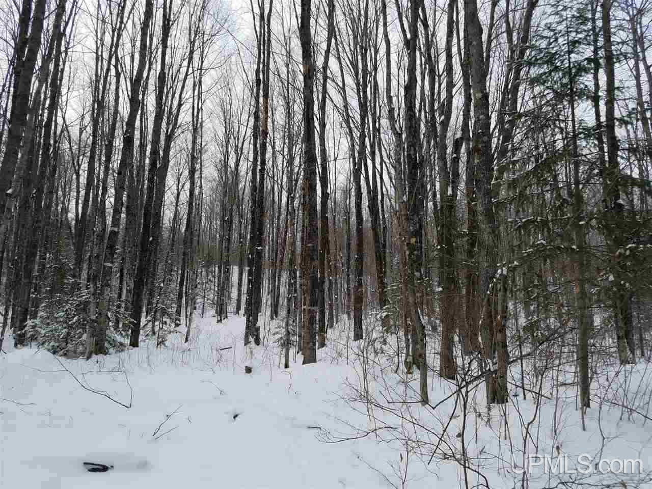 Tbd Tbd Co Road Gwinn, MI 49841 - Photo 4 of 8