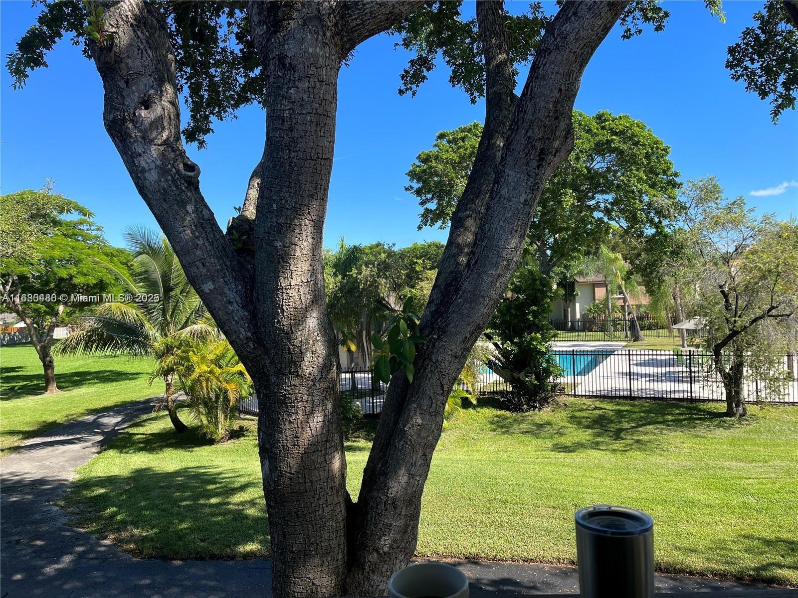 11533 Southwest 109th Road, Unit 21G Miami, FL 33176 - Photo 39 of 39 a view of a garden with a tree