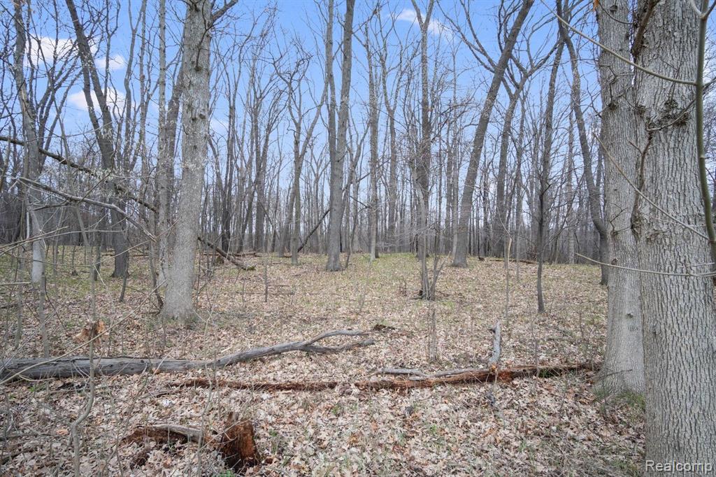 Vl Center Road Fenton, MI 48430 - Photo 4 of 16 Gallery Image 4