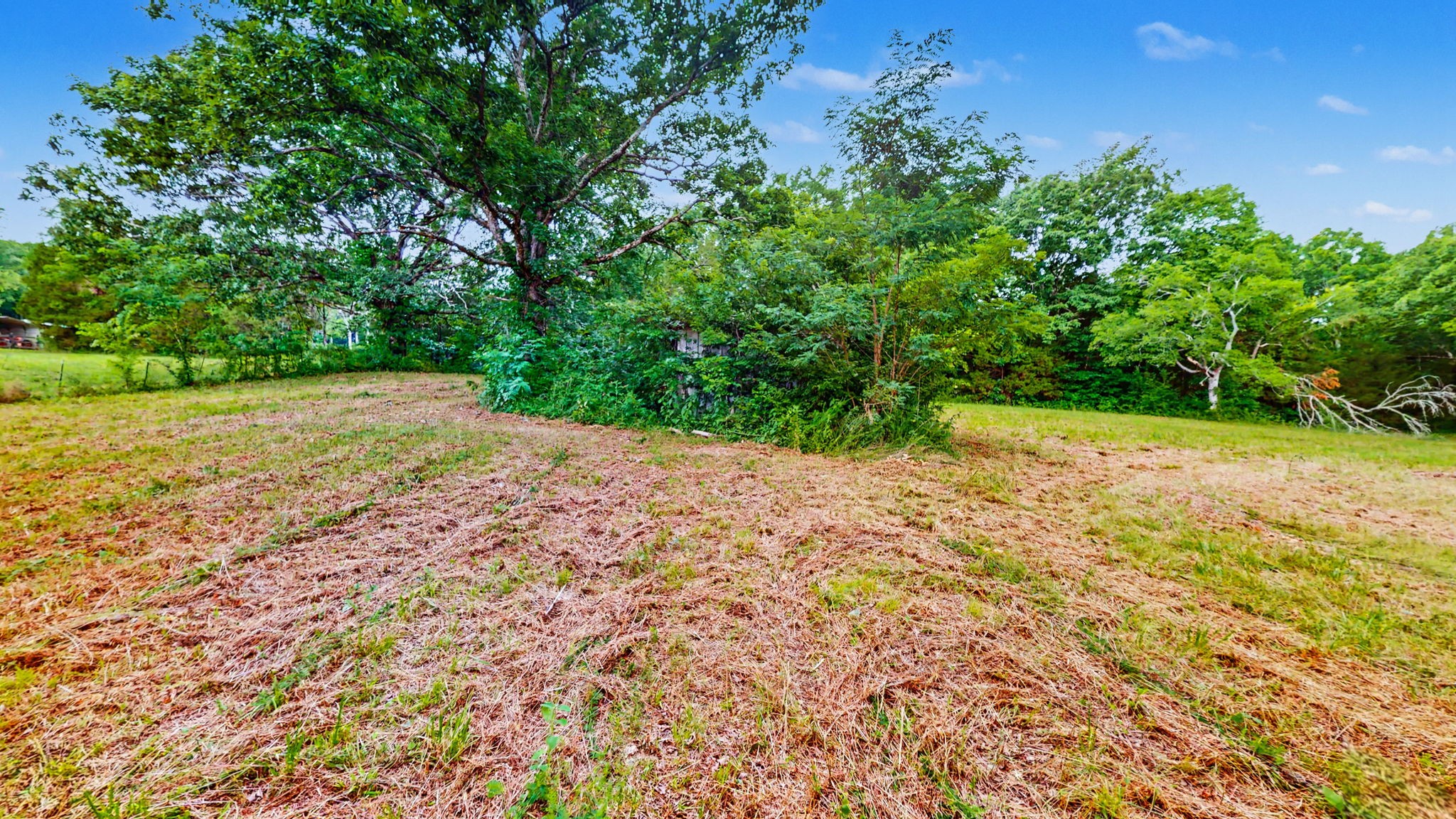 0 Morgan Road Rockvale, TN 37153 - Photo 11 of 24