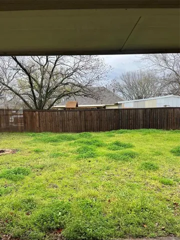 a view of a backyard with a large tree