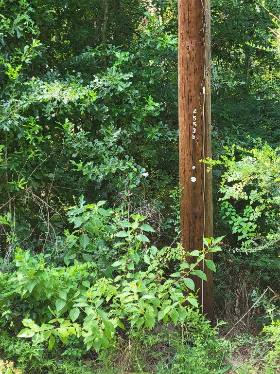 27735 Mid Lane Splendora, TX 77372 - Photo 4 of 5 a view of a garden with plants
