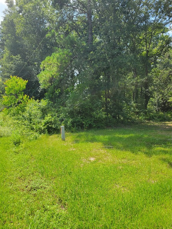 27735 Mid Lane Splendora, TX 77372 - Photo 5 of 5 a view of yard with green space